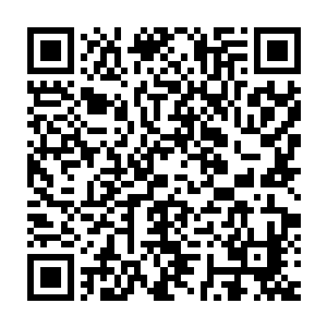 如果仅仅依靠一个相似的产品名称和一句相似的广告词就想起诉我的话二维码生成