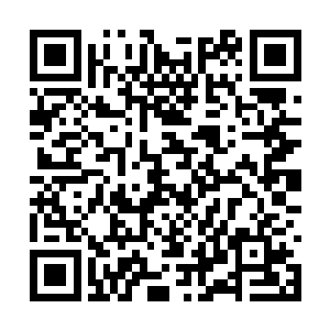 如果他从一开始就老老实实地将杨遐的消息告诉我二维码生成