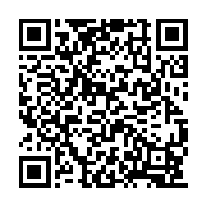 如果他们不把人殿殿主真的带到宝藏那里去的话二维码生成