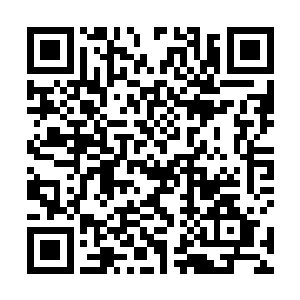 如果他们能从这禁制禁地之中得到什么宝贝和好处的话二维码生成