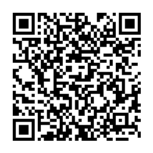 如果你们的首相大人刚刚才宣布火焰病毒的致命原因是食用银枪鱼二维码生成