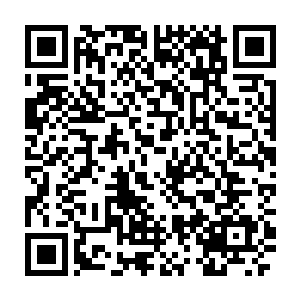 如果你带了一些食物或者可以在雄狮要塞外面获取到其他的食物和物资二维码生成
