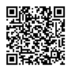 如果你有认识的捕鱼技术不错的人可以帮我介绍一下二维码生成