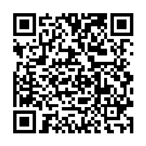 如果你说的巡演就是你和福金他们在家里制造的噪音二维码生成