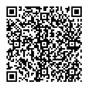 如果卡洛琳要是知道谭晶在多伦多一座豪宅里和一个长着狐狸一样面容的男人有过什么近距离的肉搏二维码生成