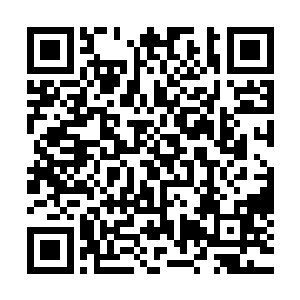 如果吴岩所修炼的真是糅合了斗战魔族和万灵妖仙传下的功法二维码生成