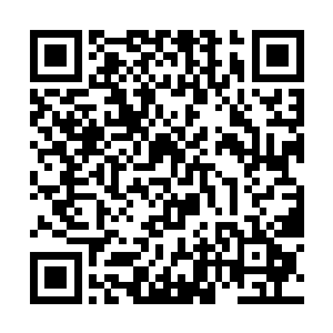 如果因为材料不够的原因而导致所有的计划功亏一篑二维码生成