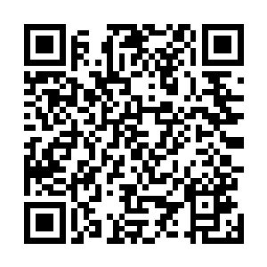 如果在真正的战场上他们还会如此不顾一切的要往前冲么二维码生成