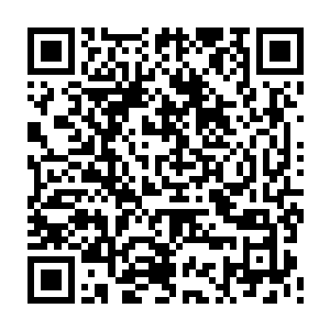 如果在第一时间由华国南海舰队的某个潜艇队伍立刻携带特种兵追踪出海二维码生成