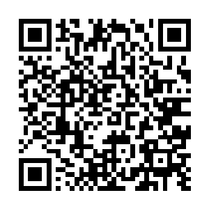 如果在第十一关卡主……苏落简直难以想象后面的效果二维码生成