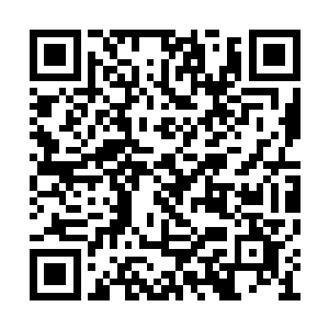 如果在这段时间内找不到馄灵珠或者没办法回去二维码生成