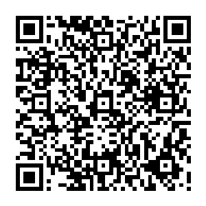 如果在这里斩杀造成的圣级波动一定会被天香宗那边的圣级混沌兽和域外天魔感知到二维码生成