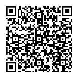 如果定国王府的暗卫再找不到他们那还当着让天下人觉得定王府的暗卫都是废物了二维码生成