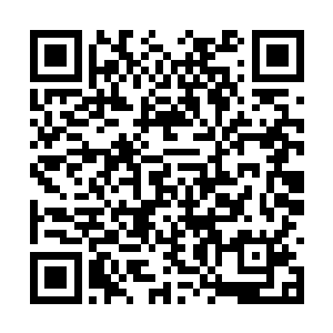 如果寒仙子去过外界并且在尘世呆过一段时间的话二维码生成