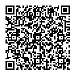 如果您有什么不想让太多人知道的事情想办而自己又不好出面那您就可以委托我帮您解决……二维码生成