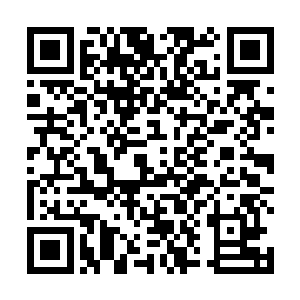 如果成功转化成长生种的话将会成为我等的里程牌进展二维码生成