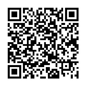 如果我们许家前去参赛的弟子在途中就被暗影杀了二维码生成