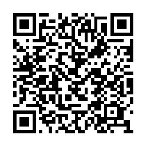 如果我闯不过去……那无双谱留着又有什么用呢二维码生成