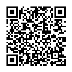 如果无名老者不拿小熊做要挟根本动不了凤君曜半根汗毛二维码生成