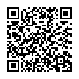 如果有机会我会用我的余生来弥补我所犯下的错……二维码生成