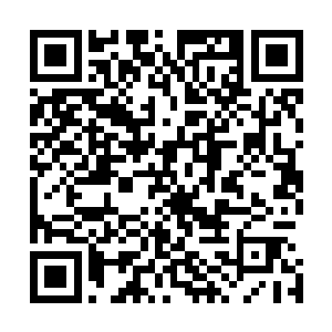 如果有记忆中大爆的就拿出来和切萨雷商量适合不适合她演二维码生成