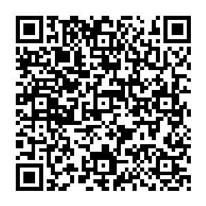 如果母亲的确是抱着不再让任何人使用它的决心……那她为什么不直接毁掉那些佛郎机火炮二维码生成