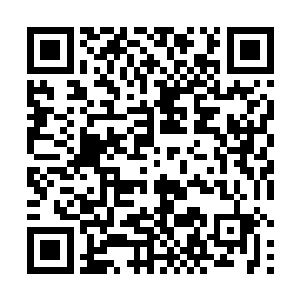 如果现在快速搭建一个最实惠的海滩模板需要多少费用二维码生成