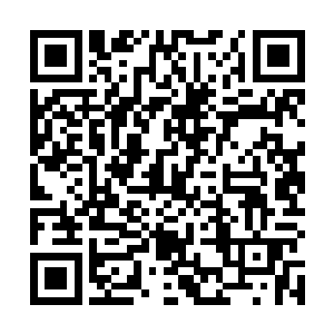 如果现在还敢不长眼地过来惹她……苏落心中暗哼一声二维码生成