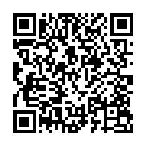 如果真是成本的增长……那哪怕是分给了季疏云二维码生成