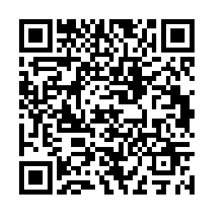 如果秦明在熔炉中找到的神丹残渣含有五成的药效二维码生成