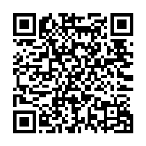 如果能从里面活着走出来……灵魂之力将会得到很大的提升二维码生成