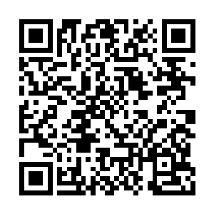 如果能看到就不用等你挖这么深的地洞再动手了二维码生成