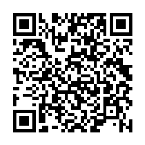 如果自己表现的太粗俗了肯定会被丞相小舅舅看出来二维码生成