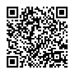 如果要让我在林先生和苏南市一统二者之间作出选择的话二维码生成