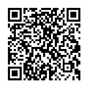 如果识人不明用人不当这个定性在省委书记心目中落下了印象二维码生成