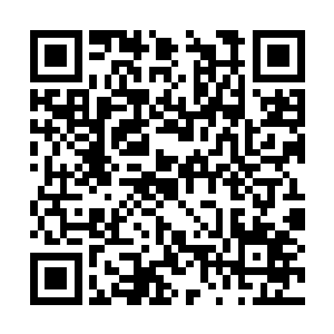 如果说之前苏落有三分确定眼前之人是现代的云起二维码生成