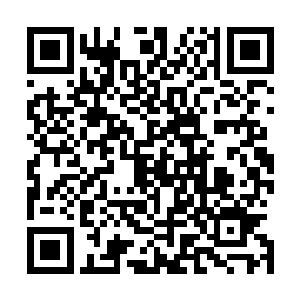 如果说之前那些挥舞旗帜举着喇叭在庆祝独立的是群众演员二维码生成