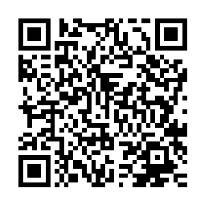 如果说原来黎阳地区北六县那便是谢即安的心态占据着统治地位二维码生成