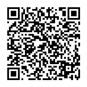 如果说在打训练赛之前陈诚在白色月牙眼中不过只是一个高分段路人选手的话二维码生成