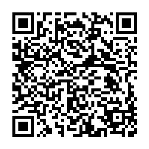 如果说救牟晨菲得到的一百万酬劳让他感受到国内富豪阶层的阔绰二维码生成