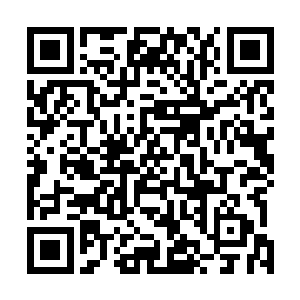 如果说最早只是悲悲切切做个迷途归返的退休狐狸精模样二维码生成