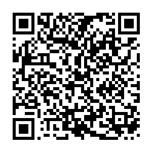 如果说灵空是相信葬天一族的这位没有杀意那在场的人都是不信的二维码生成