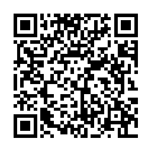 如果说税务部门能够给我们企业财务方面的入员做一次培训二维码生成