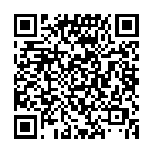 如果还找不到特殊气息运转无名法诀衍生新丹田的话二维码生成