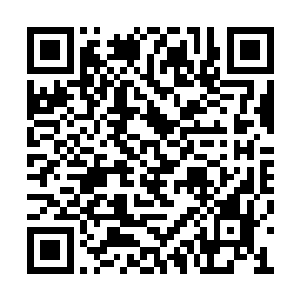 如果这些合伙人在随后提案中对他投出不信任票二维码生成