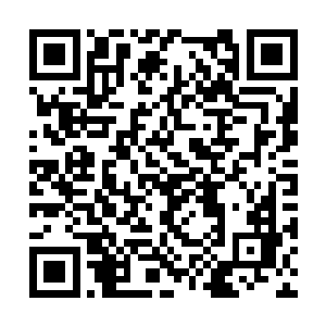 如果这位白衣姑娘答应护送我们去离火城的话……二维码生成