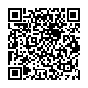 如果这布娃娃是用强大的力量正面击破了他的防御和招式二维码生成