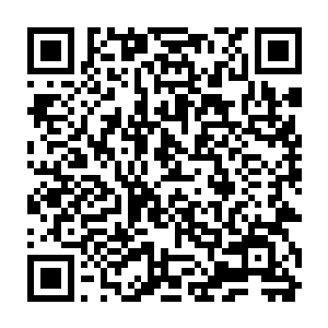 如果那秦宇真如他们所判断的那样出了变故那就趁着这一次机会灭掉人族二维码生成