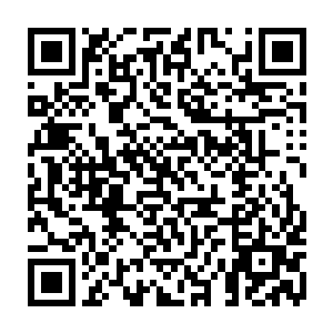如此一来很容易让人产生某种暇想……就仿佛她的衬衣下什么都没有穿似的二维码生成