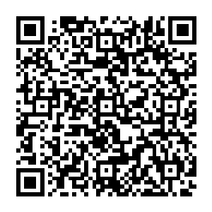 如此仙界的各族圣级修士想要斩杀圣级混沌兽和域外天魔就变得比之前容易了许多二维码生成